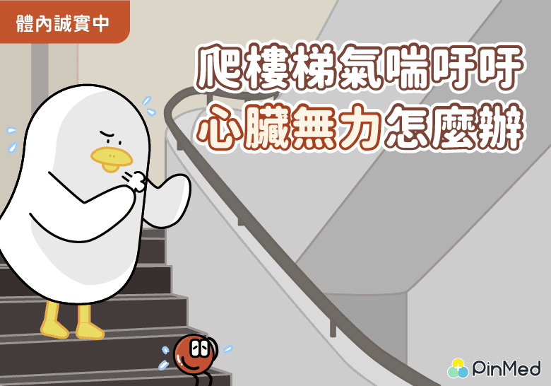 心臟無力要如何保養-封面