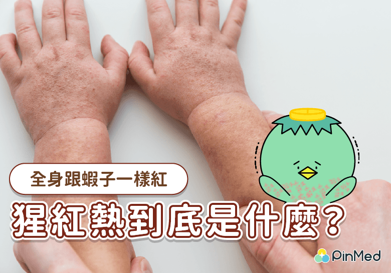 孩子發燒起疹子?出現猩紅熱症狀別怕!治療方式、居家照護一次看 - PinMed